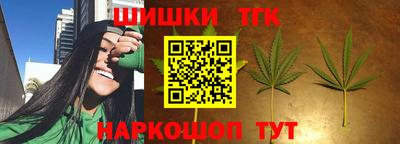бошки Камышлов