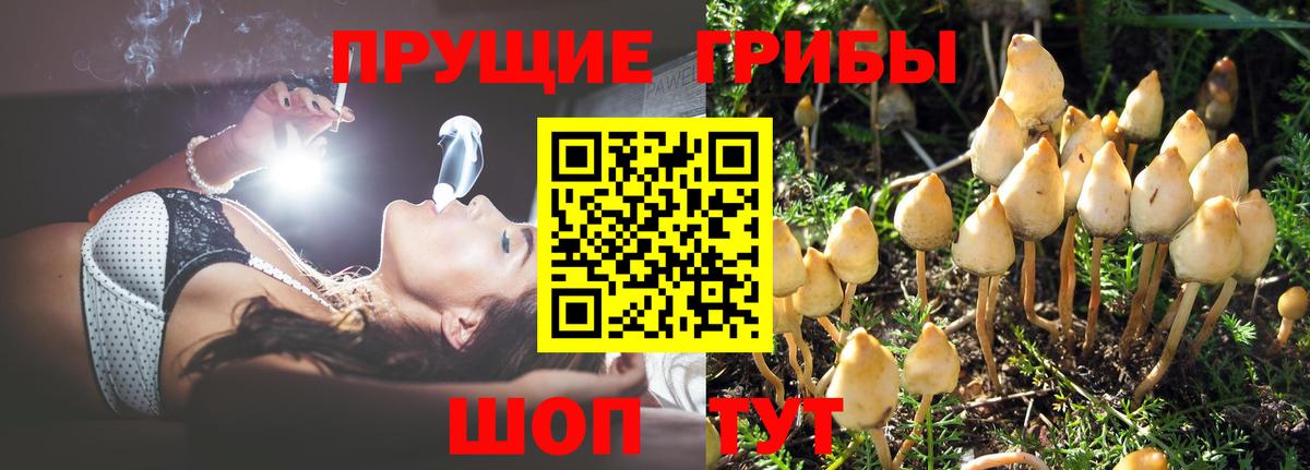 Галлюциногенные грибы Magic Shrooms Арзамас